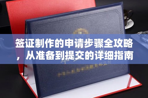 海西签证制作的申请步骤全攻略，从准备到提交的详细指南